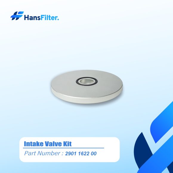 Intake Valve Kit 2901162200 - Image 3
