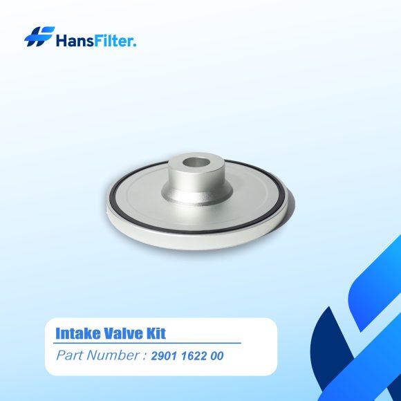 Intake Valve Kit 2901162200 - Image 4