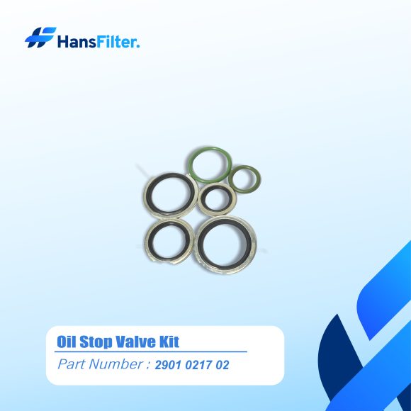 OIL CHECK VALVE KIT 2901021704/2901021702 - Image 3
