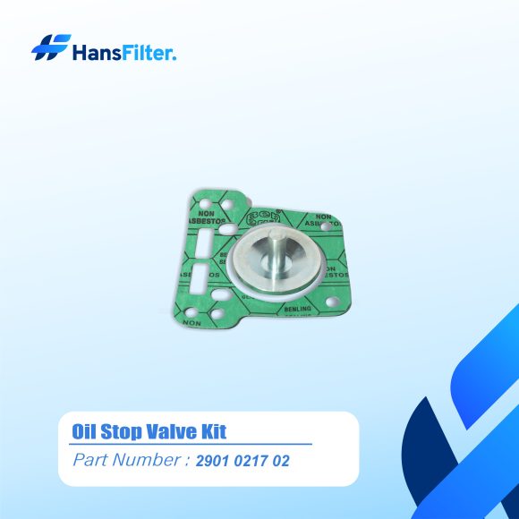 OIL CHECK VALVE KIT 2901021704/2901021702 - Image 4