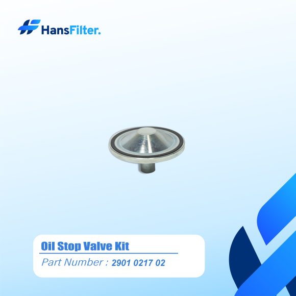 OIL CHECK VALVE KIT 2901021704/2901021702 - Image 5